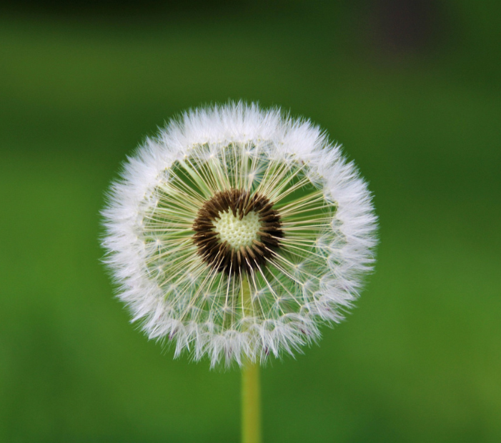 Barn og mor i omfavnelse